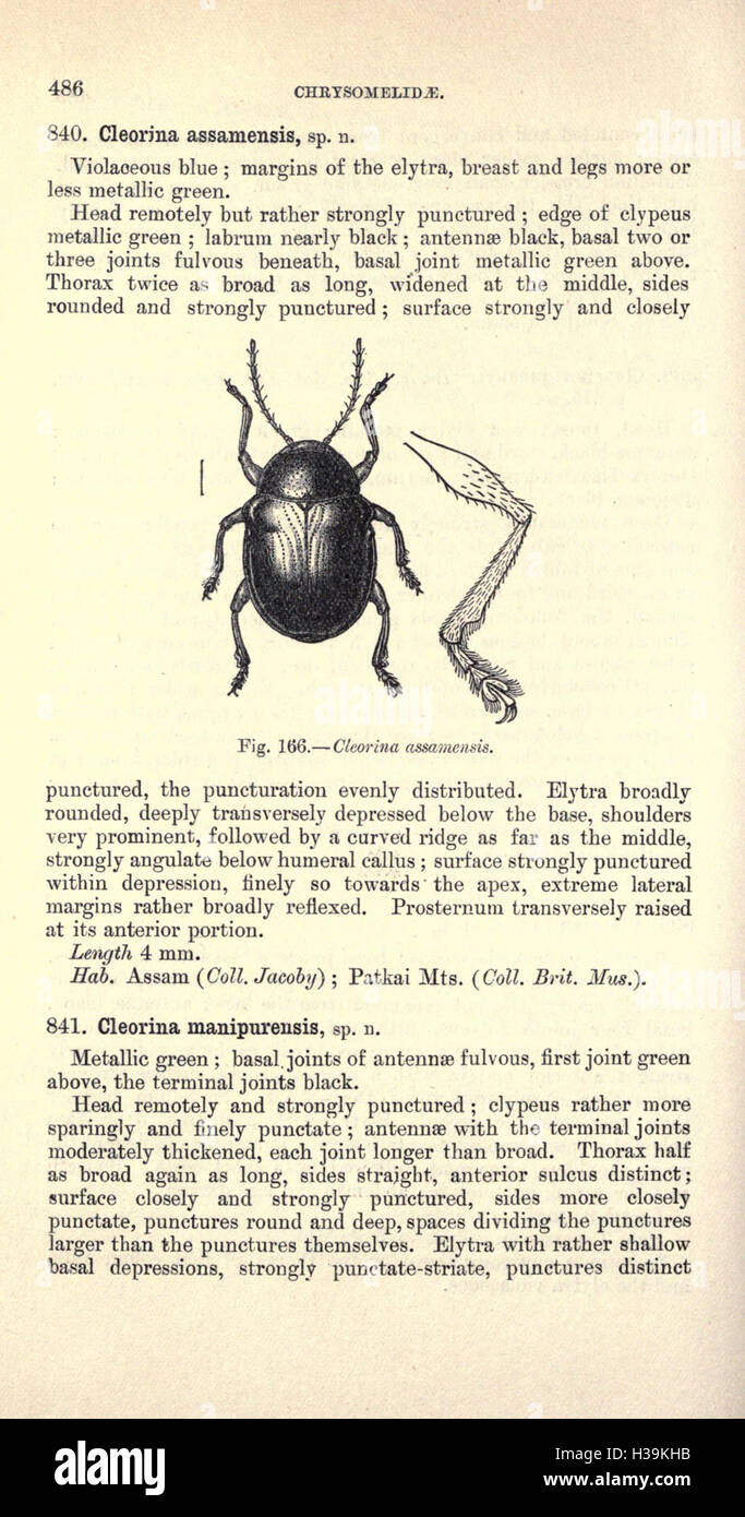 This text provides an overview of the order Coleoptera, focusing on the ...