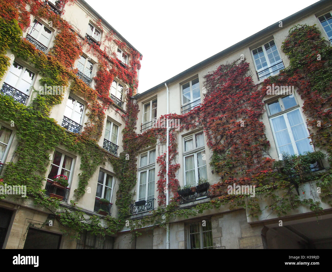 Fall colors in paris hires stock photography and images Alamy