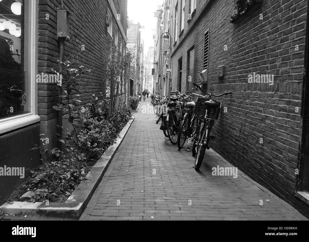 Narrow buildings amsterdam hires stock photography and images Alamy