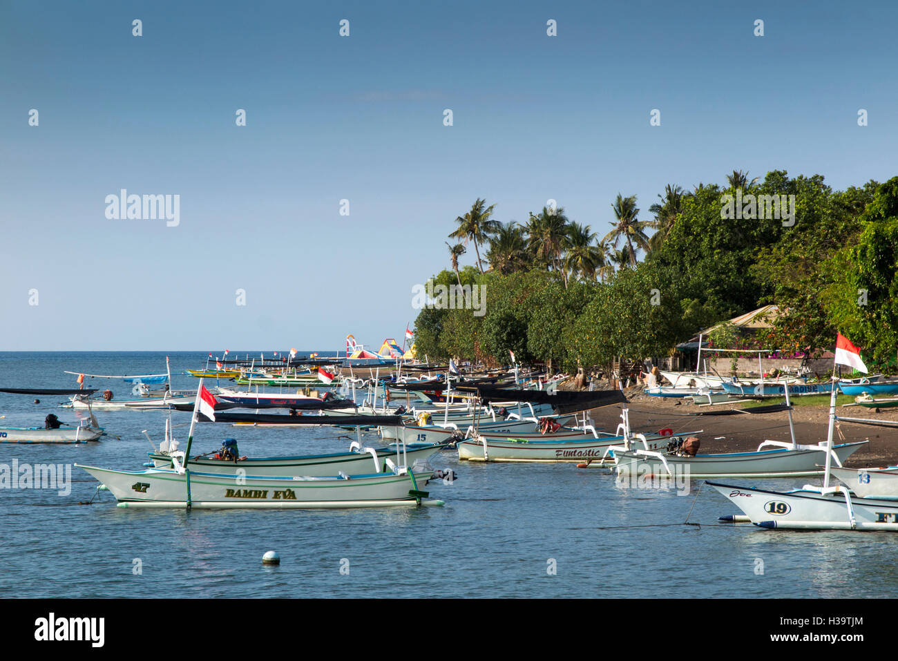Indonesia, Bali, Lovina, fishing boats on main beach and moored in sea Stock Photo