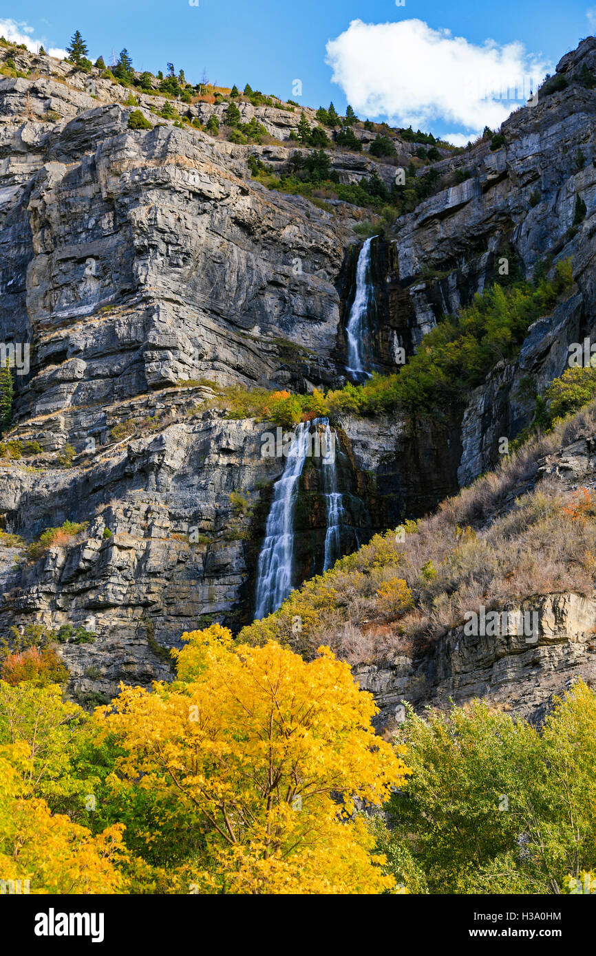 This is a vertical view of the fall colors at Bridal Veil Falls in Provo Canyon, Utah, USA Stock Photo