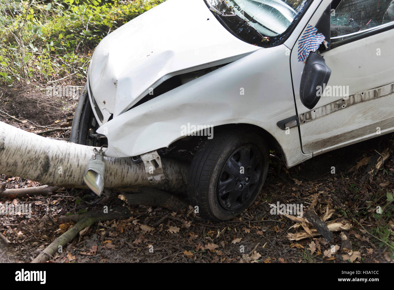1999 Citroen Saxo crashed into a tree at Gatewood Bridge, Exbury, New Forest 05 October 2016 Stock Photo