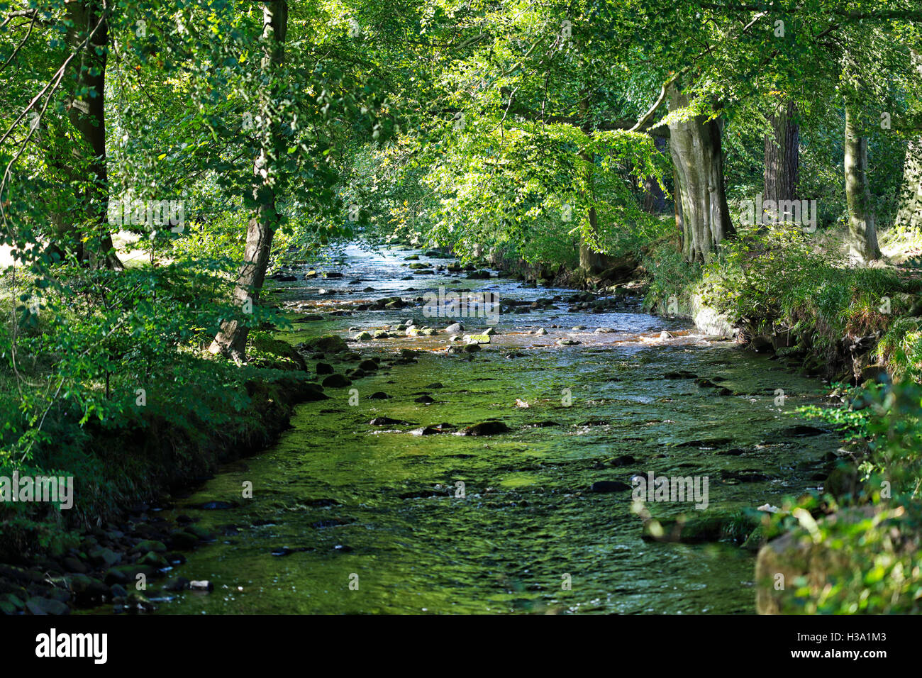 Blubberhouses hires stock photography and images Alamy