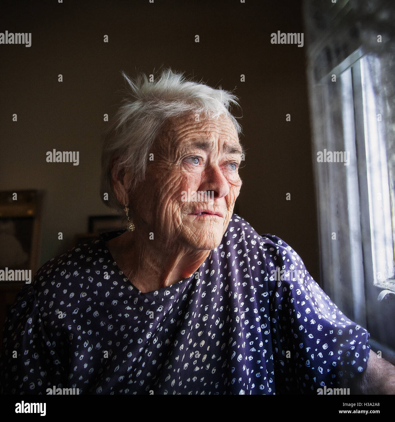 Old woman sitting by the window, gazing outside. She looks saddened in her deep, lonely thoughts. Stock Photo