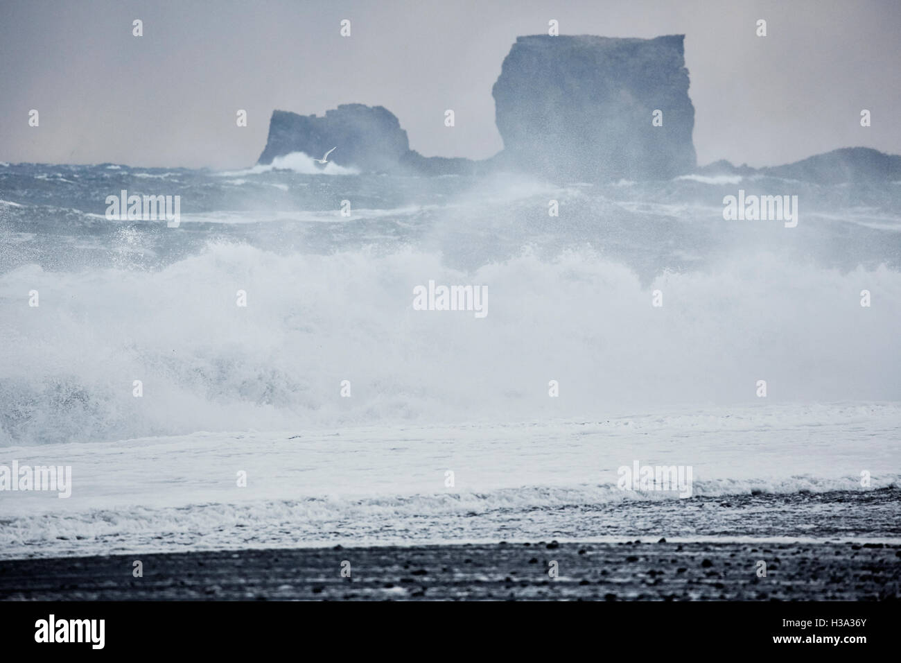 Winter storm along the icelandic coast Stock Photo