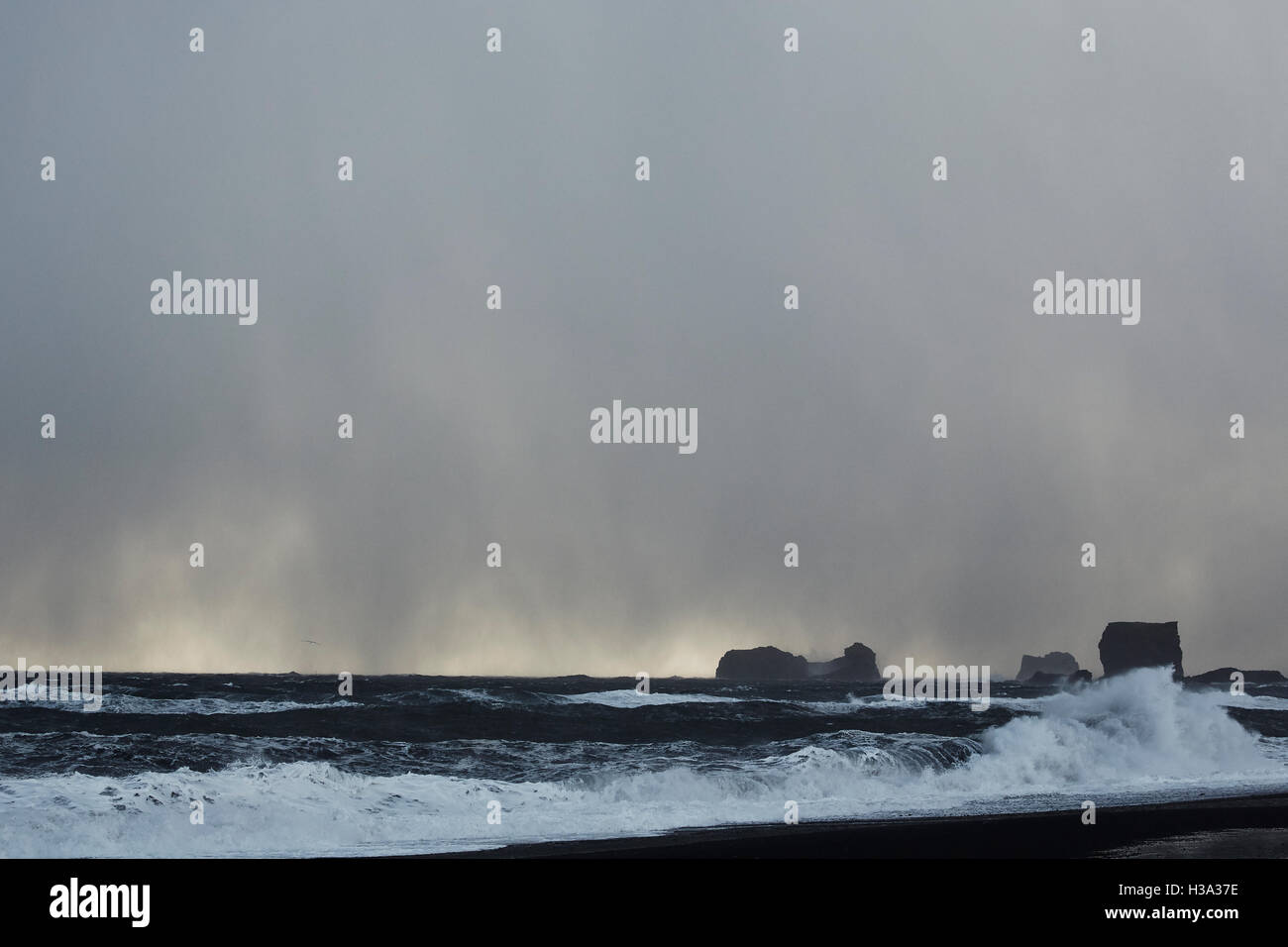 Heavy snow storm along the icelandic coast Stock Photo - Alamy