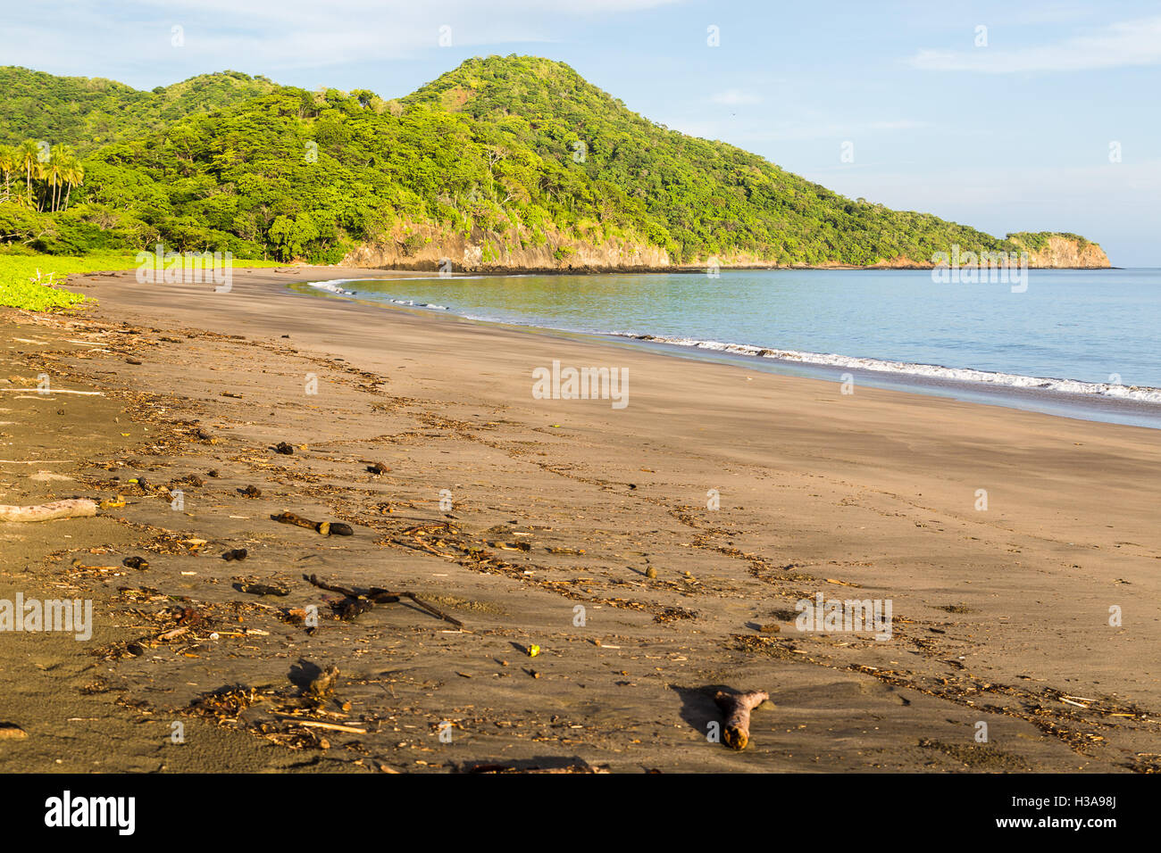 The starting place of my daily 6am walks before entering the dry forest to find monkeys in Guanacaste, Costa Rica. Stock Photo