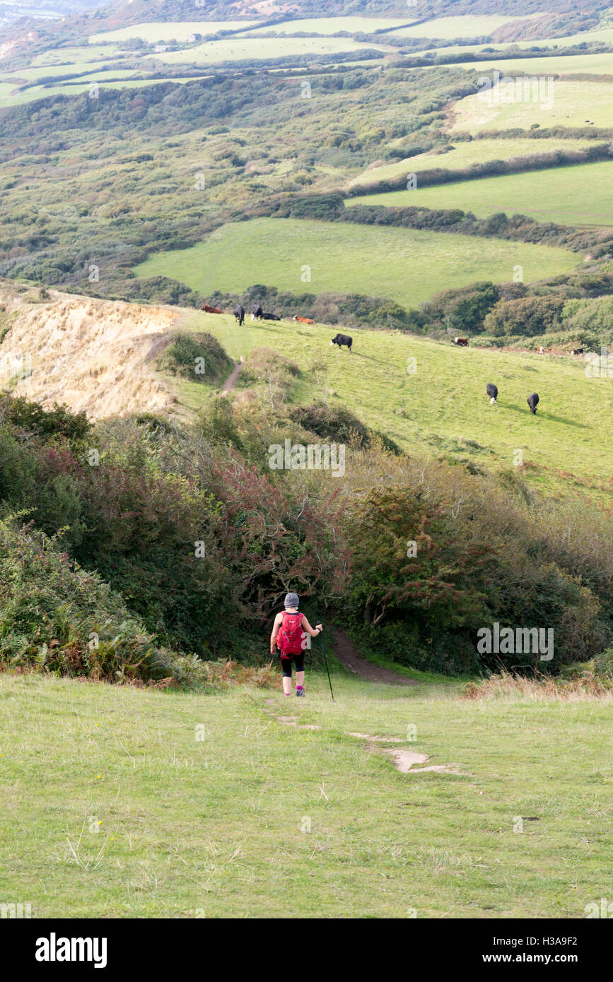 Lady walker descending a hill on the south west coastal path between Charmouth and Seatown, Dorset, UK. Stock Photo