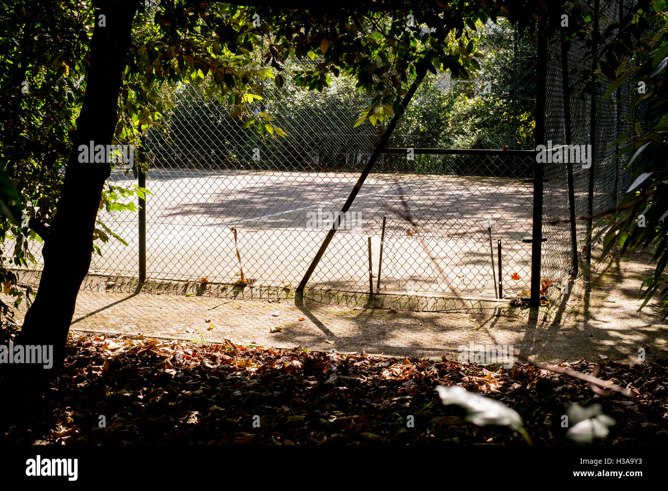 A hard tennis court bathed in morning sunlight Stock Photo