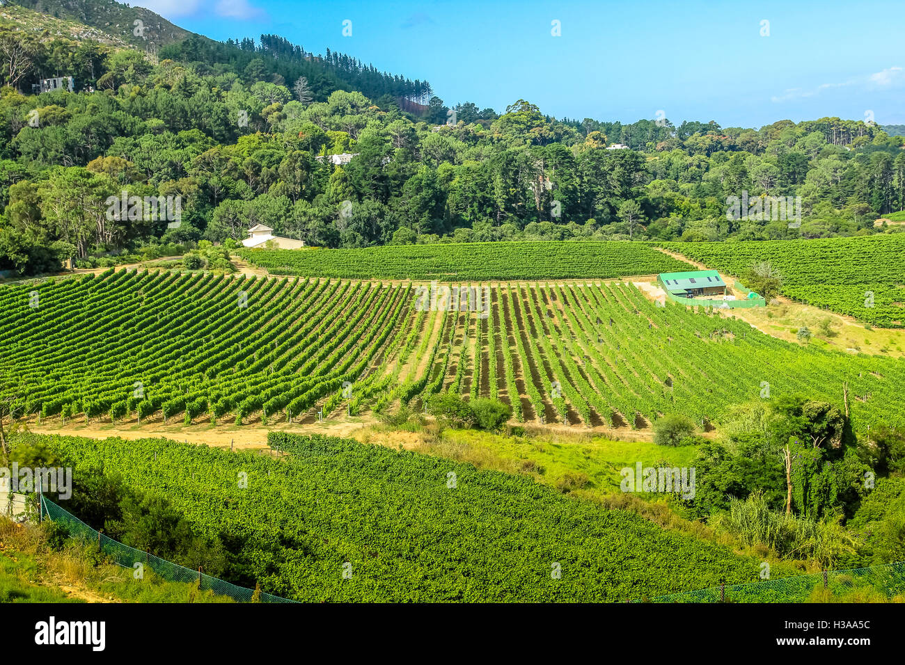 Winery aerial hires stock photography and images Alamy