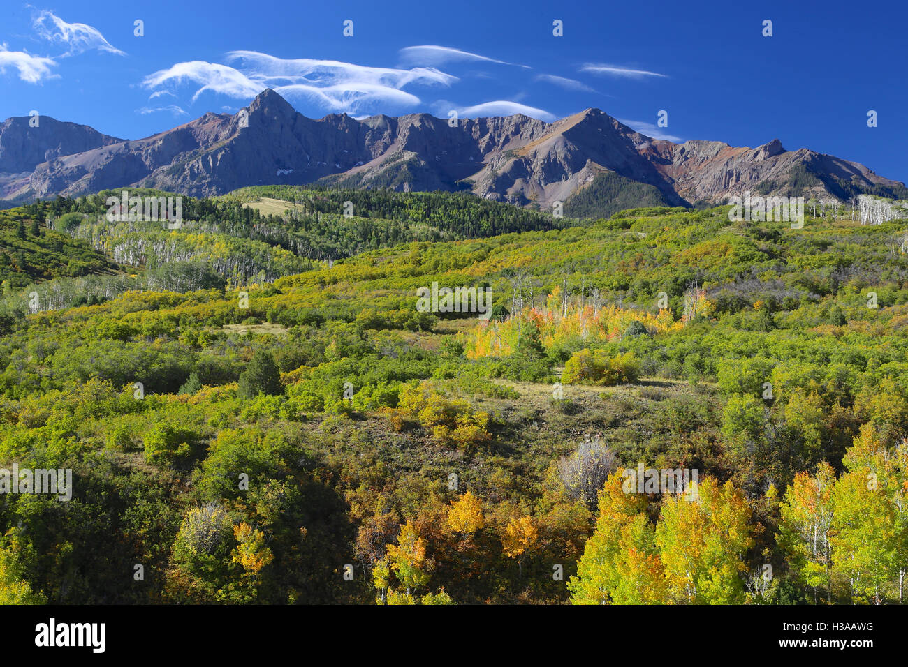 Dallas Divide Colorado Rocky Mountains day with yellow and green aspen trees Stock Photo