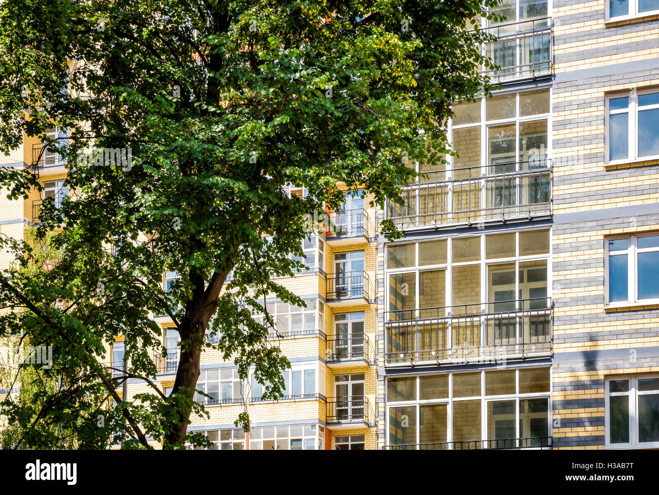 New modern multistorey apartment building with tree on the foreground Stock Photo