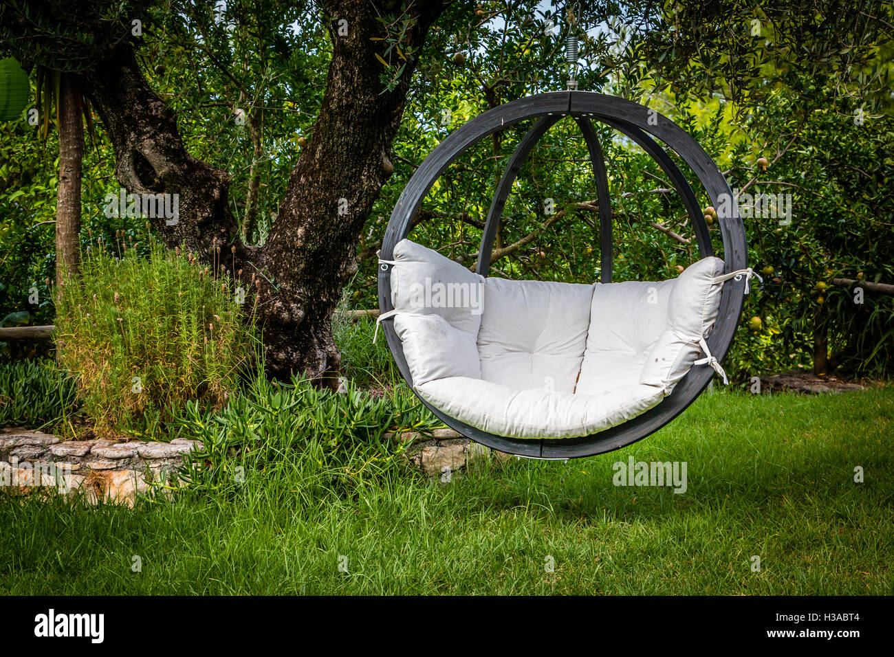 Lounge hanging chair with white pillow in the garden with green nature  background Stock Photo - Alamy