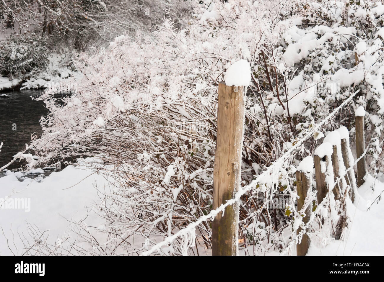 frozen winter snow scene of rural fence Stock Photo - Alamy