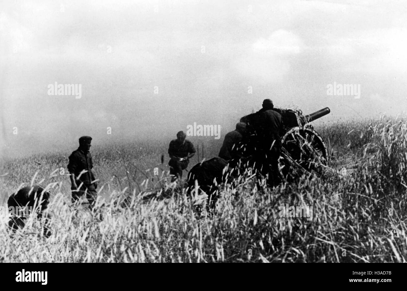 German artillery near Smolensk, 1941 Stock Photo