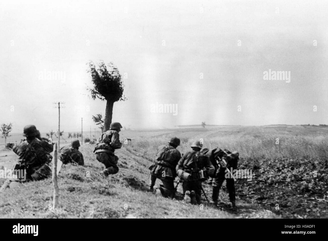 Waffen ss on the russian front hi-res stock photography and images - Alamy