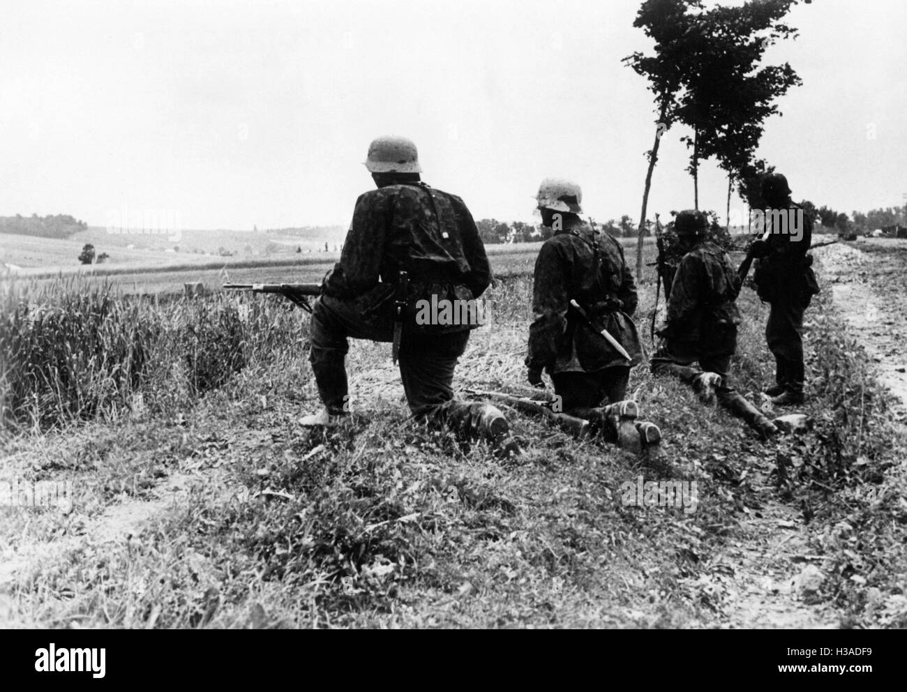 Infantry of the Waffen SS on the Eastern Front, 1941 Stock Photo