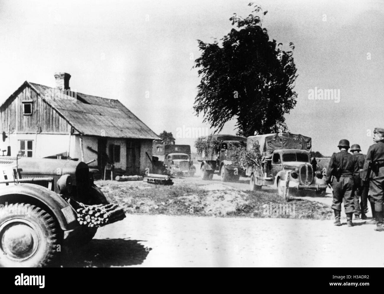 German vehicle convoy on the Eastern Front, 1941 Stock Photo