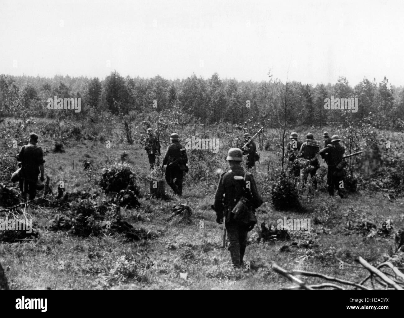 German infantry on the Eastern Front, 1941 Stock Photo Alamy