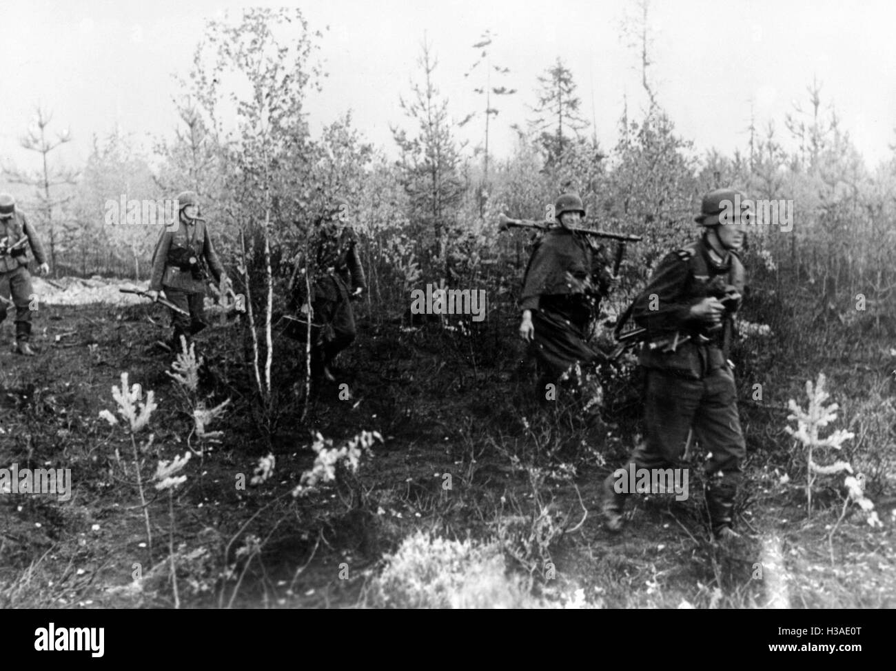 German infantry on the Eastern Front, 1941 Stock Photo Alamy