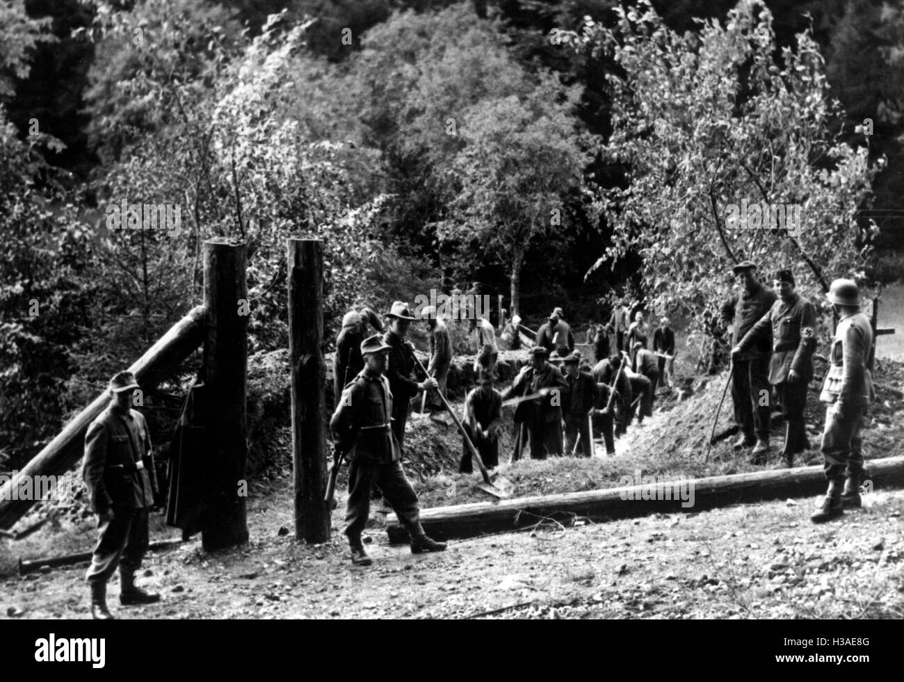 German civilians building positions in the Vosges, 1944 Stock Photo