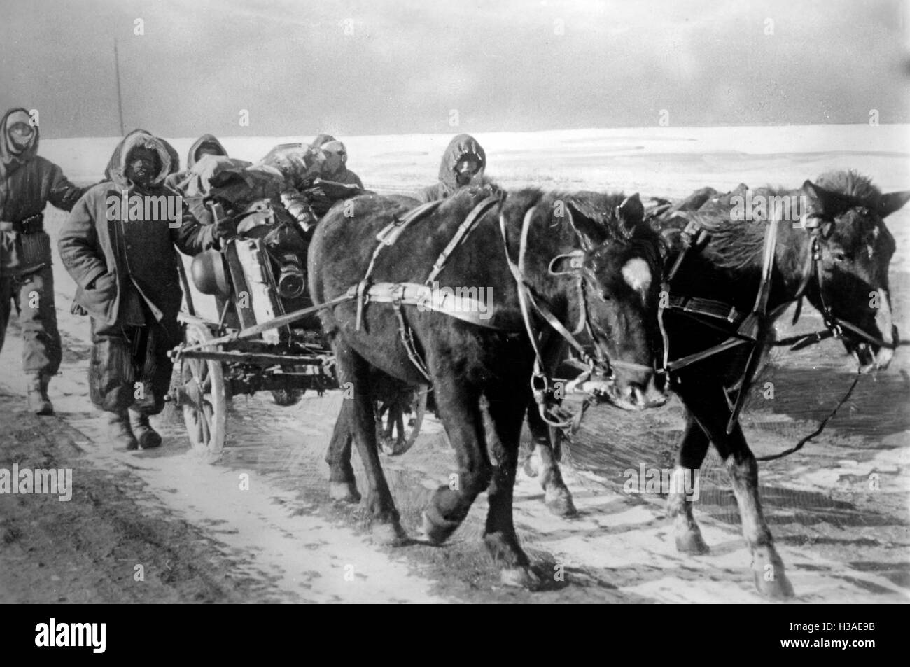 Battle of the carts hires stock photography and images Alamy