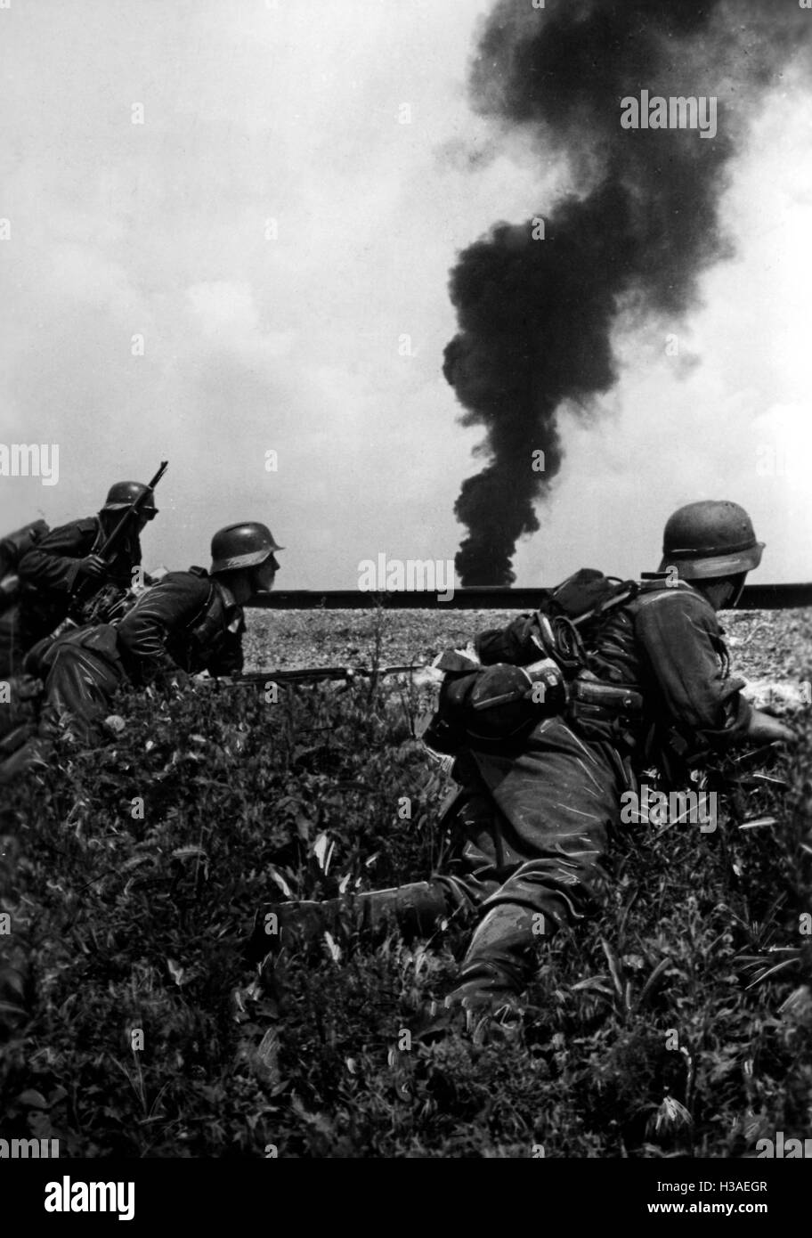 German infantrymen at the Donetsk-front, June 1942 Stock Photo