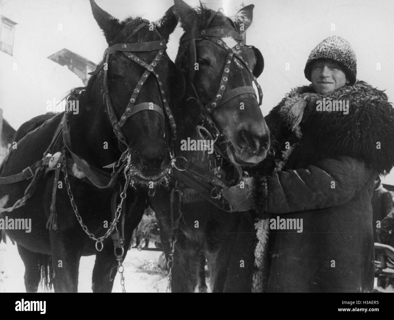End of the resettlement of Volhynian Germans, November 1940 Stock Photo