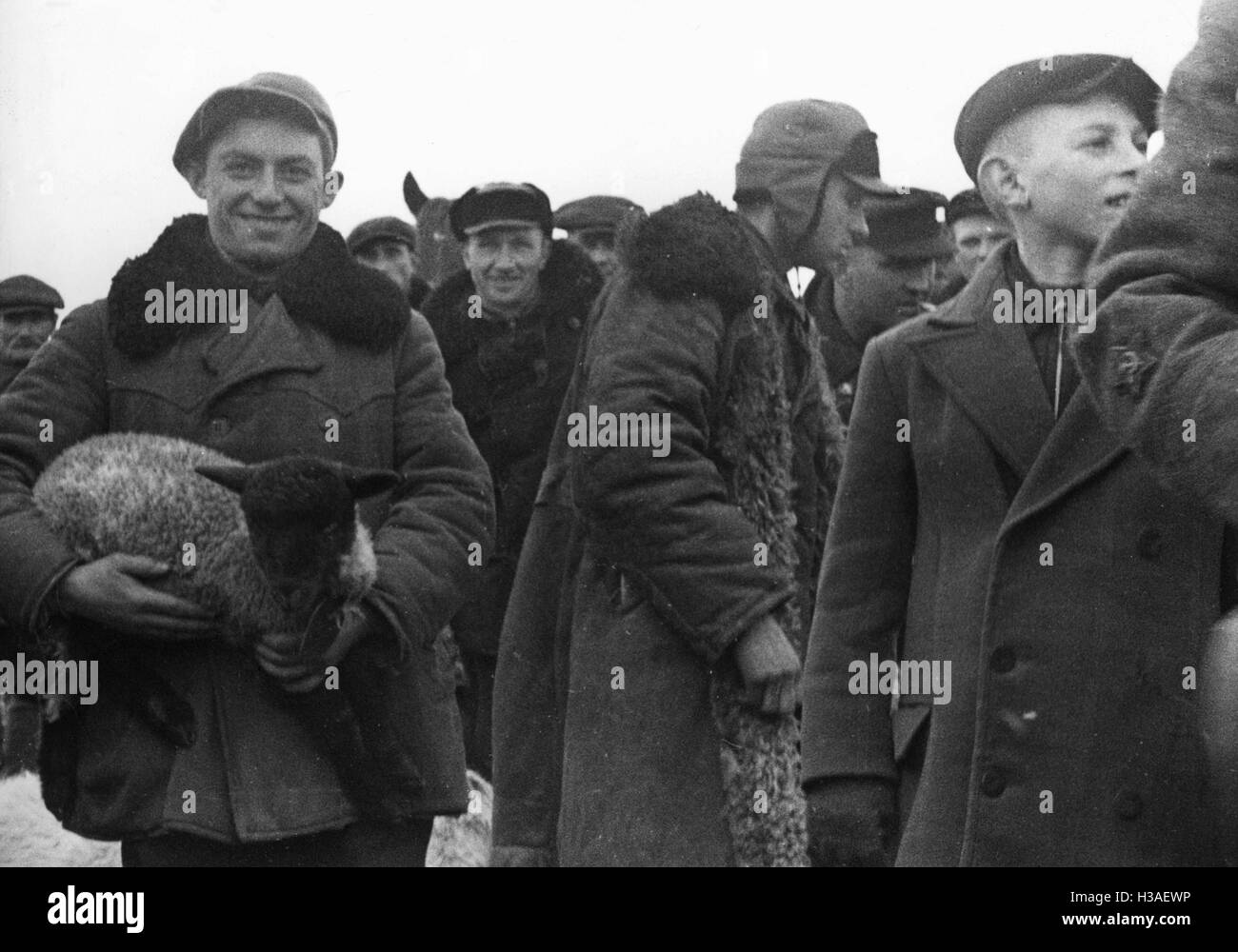 Lithuania German and Jew with lamb, 1941 Stock Photo