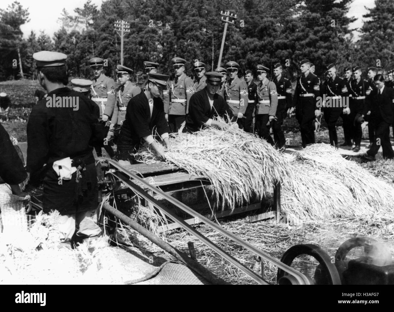 HJ delegation views threshing in Japan, 1938 Stock Photo