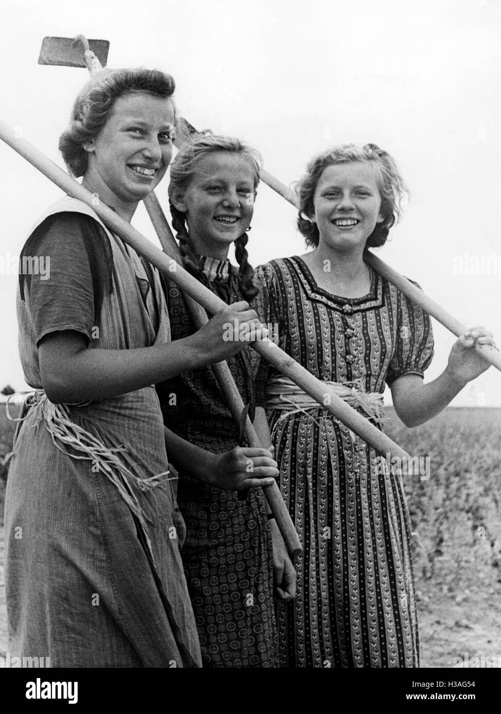 BDM girls during Landdienst (country service), 1939 Stock Photo