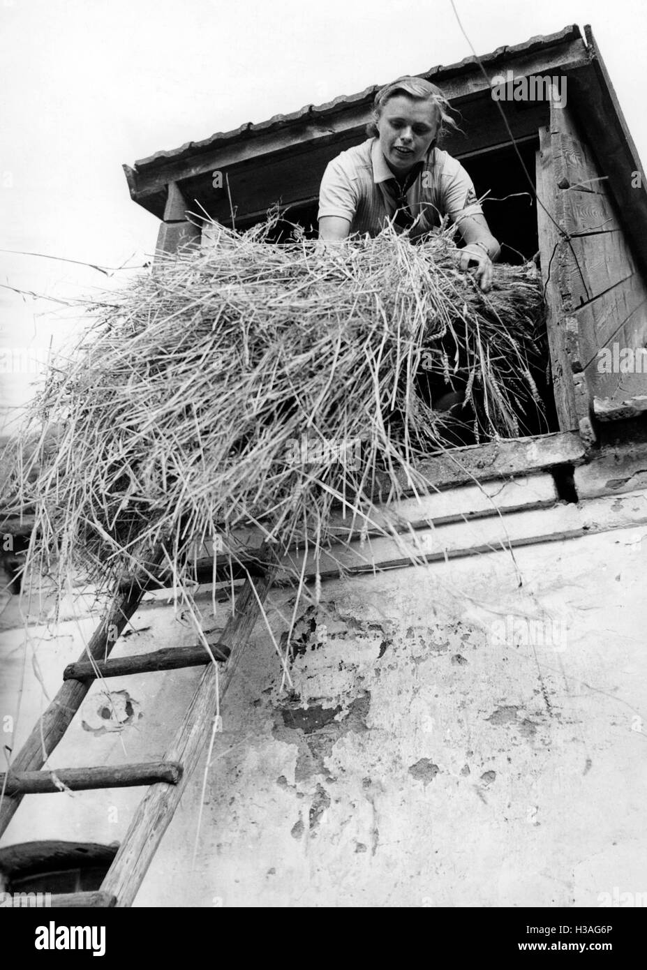 Landjahrmaedel working on the farm, 1940 Stock Photo
