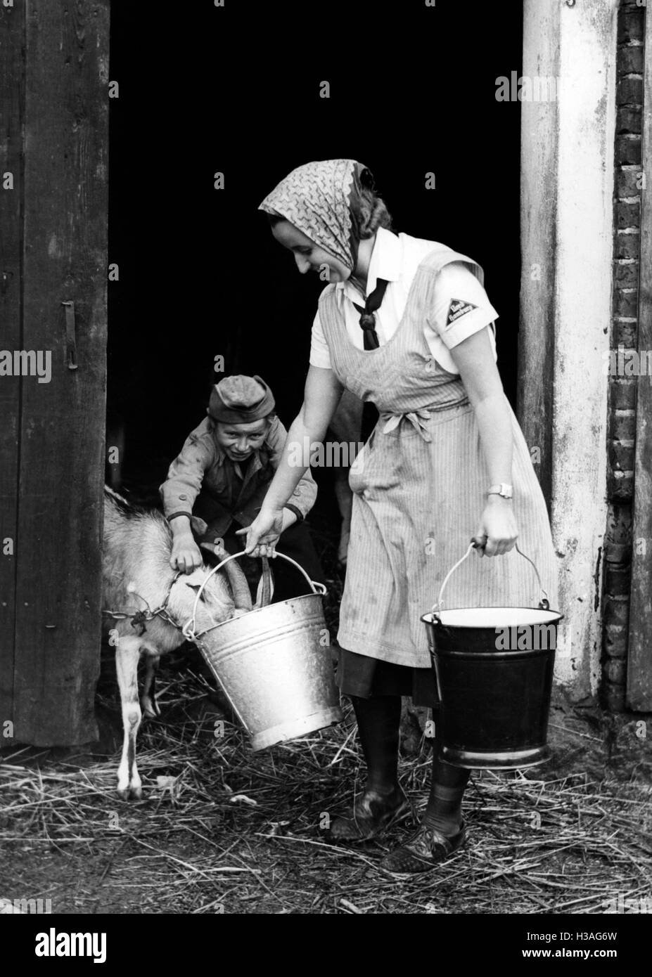 BDM girl working in the shed, 1940 Stock Photo