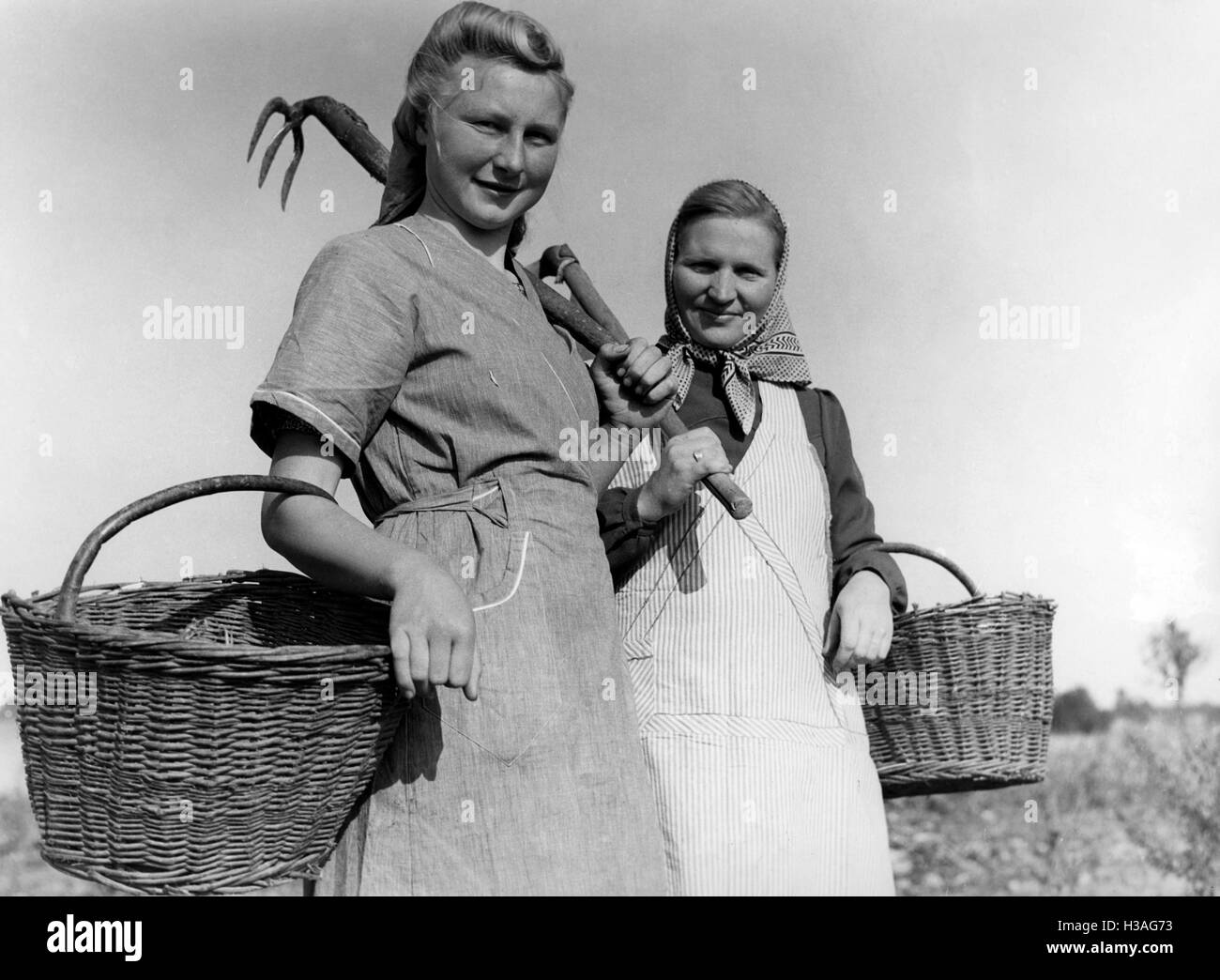BDM girl working in the field, 1941 Stock Photo