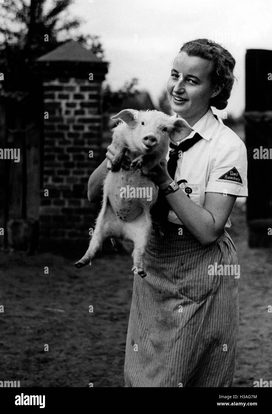 Landdienst girls at the pig barn, 1940 Stock Photo