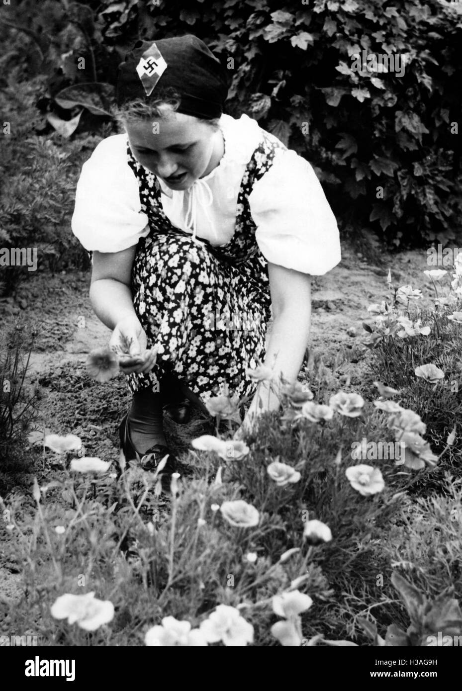BDM girl picking flowers, 1939 Stock Photo