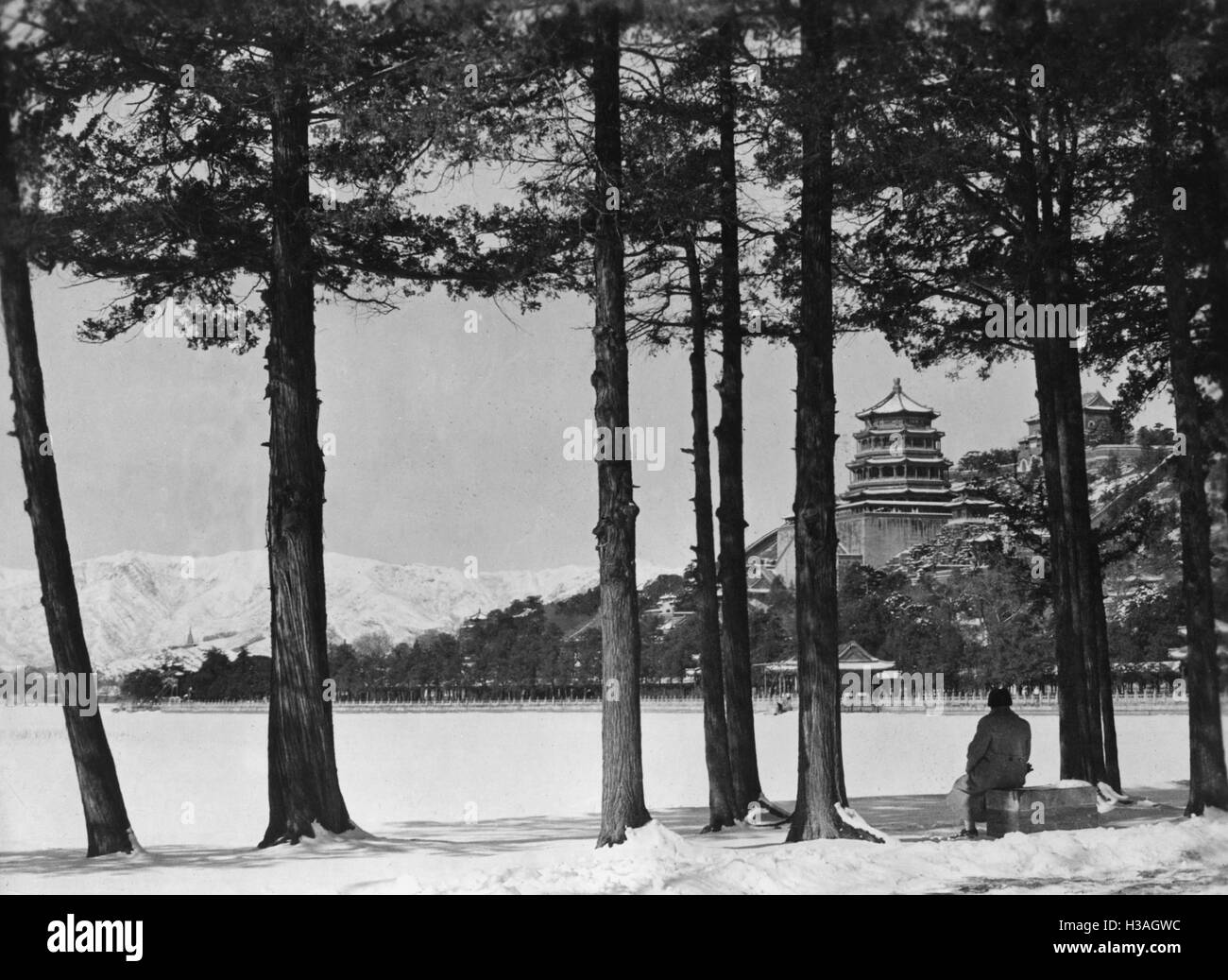 The tree beijing Black and White Stock Photos & Images - Alamy