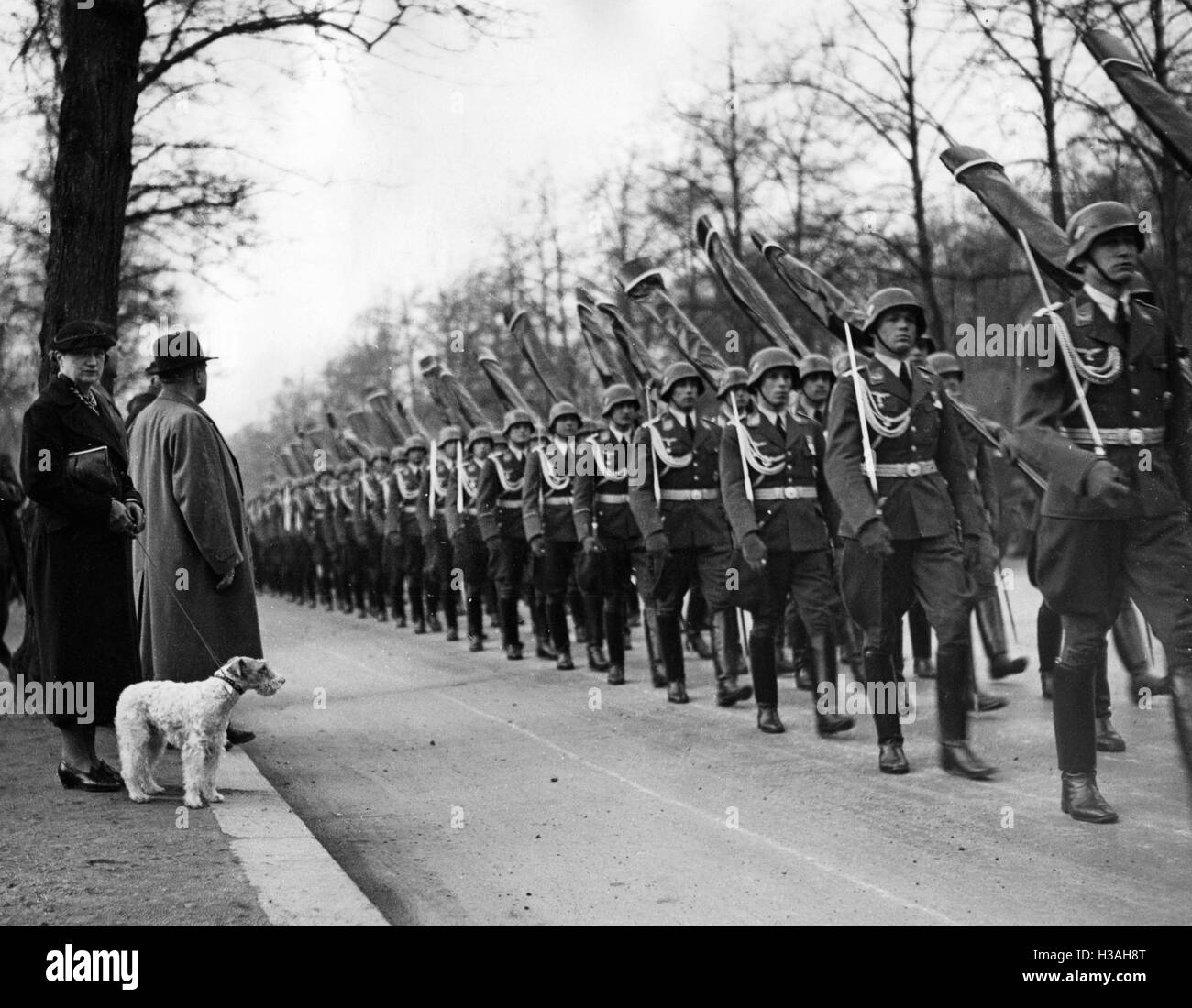 March past of soldiers of the Luftwaffe to a flag consecration, 1937 Stock Photo