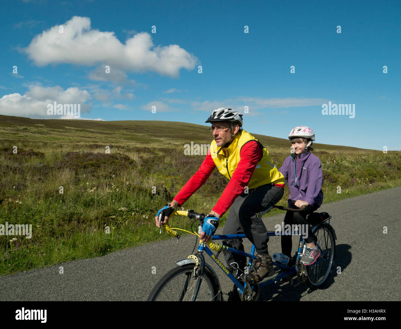 adult and child tandem bike