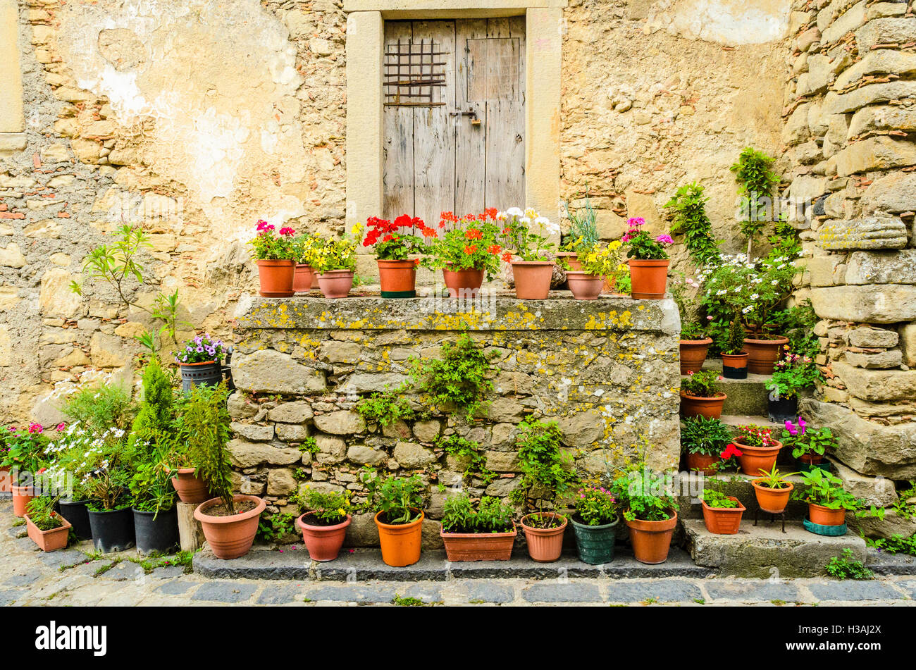 Flower pots on steps hi-res stock photography and images - Alamy