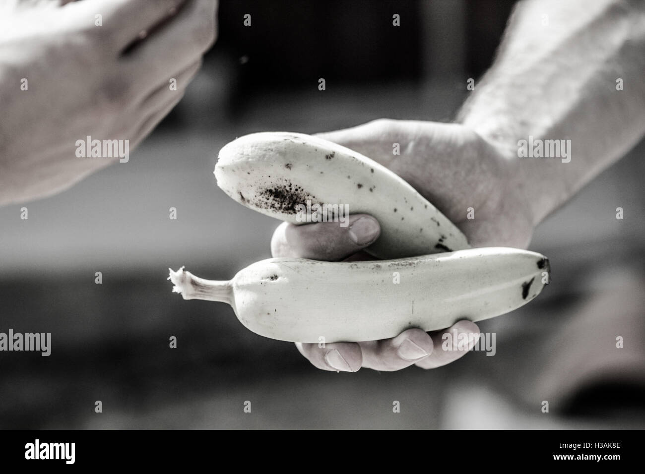 Havana stock exchange hires stock photography and images Alamy