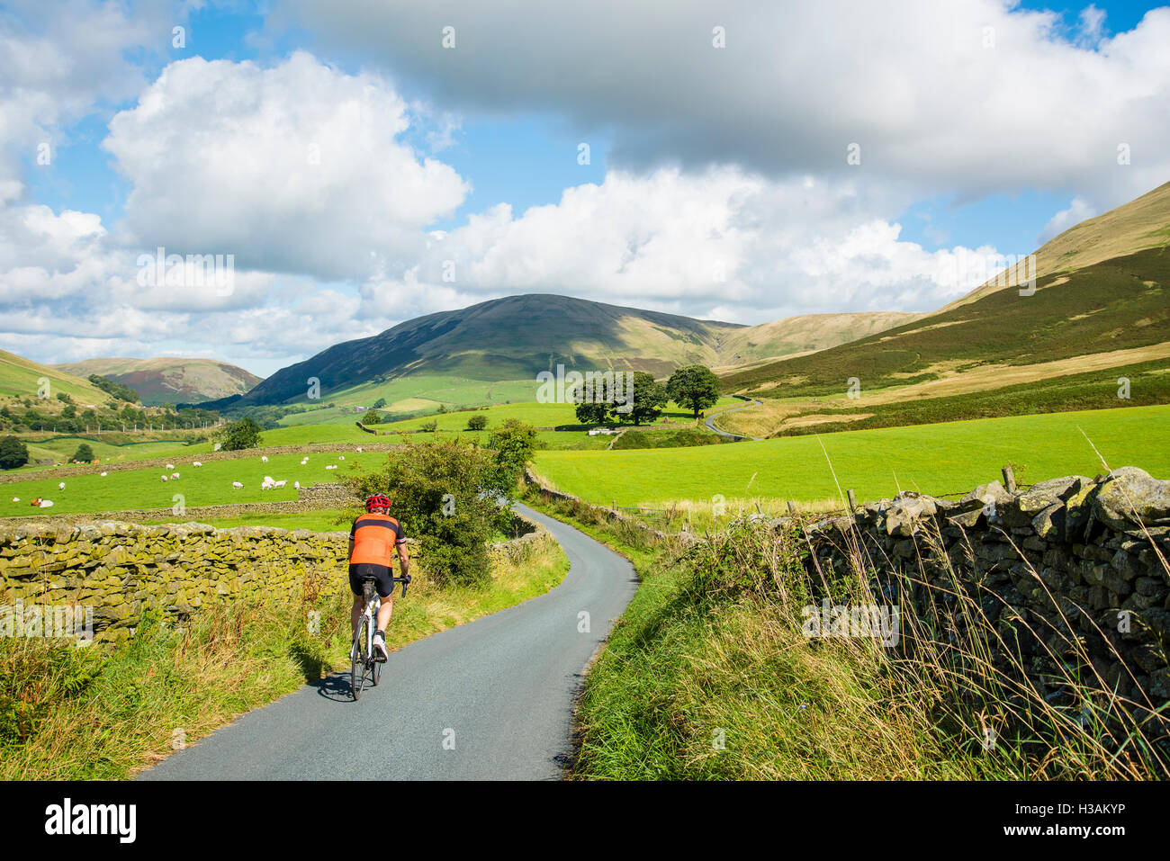 Cyclist approaching the Lune Gorge below the Howgill Fells Cumbria England UK Stock Photo