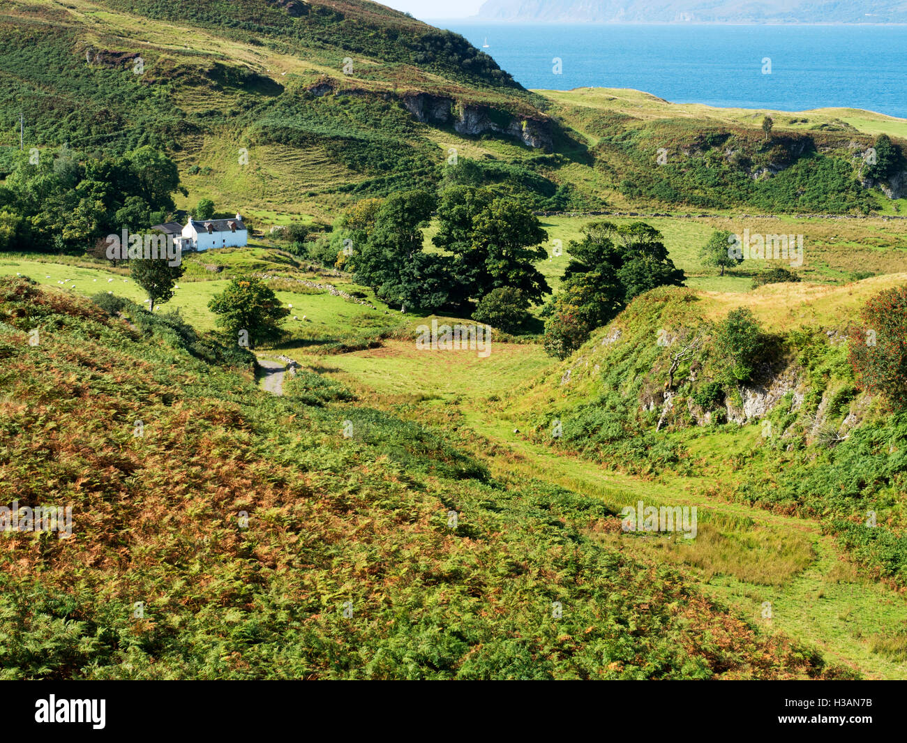 Barnabuck on the Isle of Kerrera Argyll and Bute Scotland Stock Photo