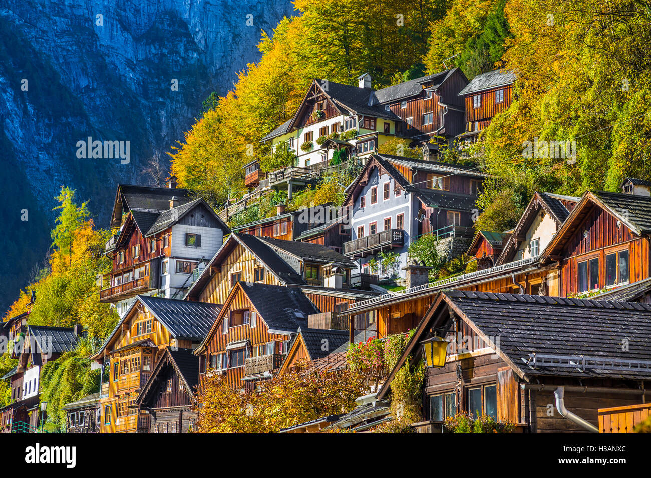 Traditional old wooden houses up a hill in famous Hallstatt mountain