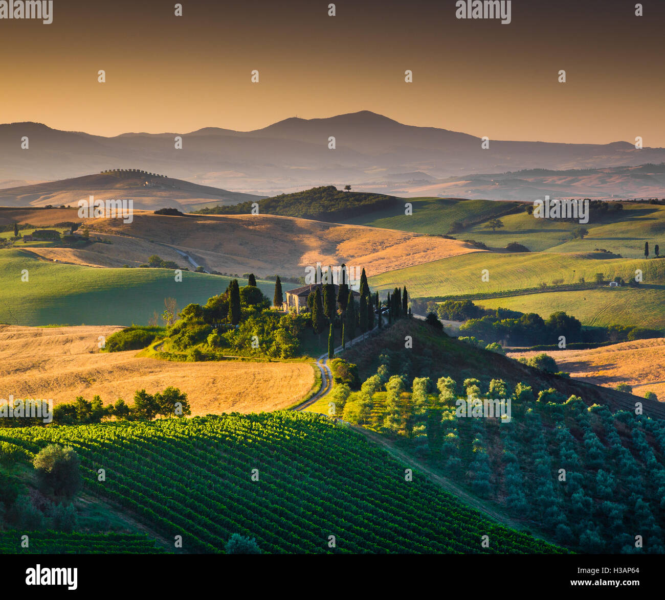 Scenic Tuscany landscape with rolling hills and valleys in golden morning light, Val d'Orcia, Italy Stock Photo