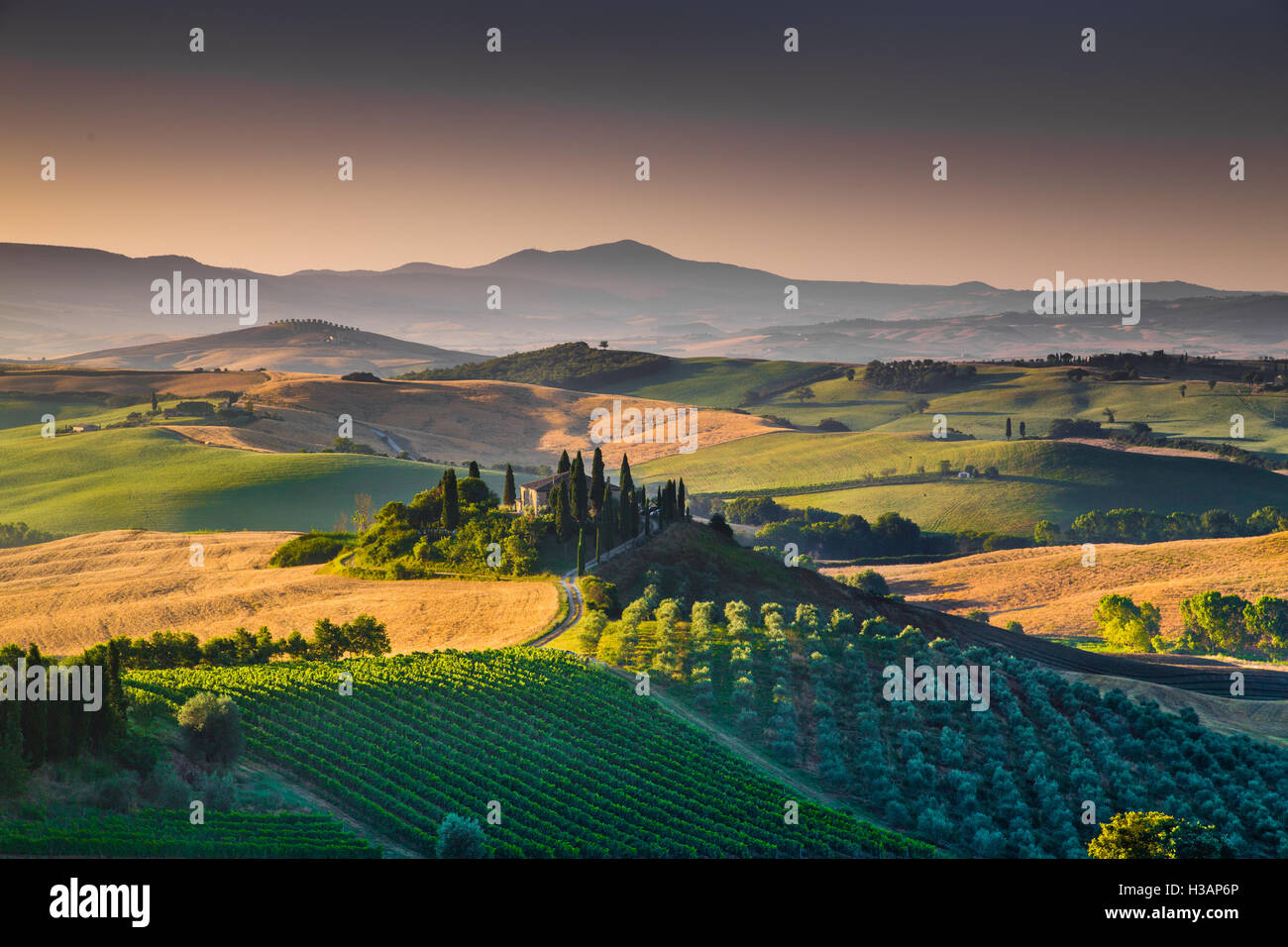 Scenic Tuscany landscape with rolling hills and valleys in golden morning light, Val d'Orcia, Italy Stock Photo