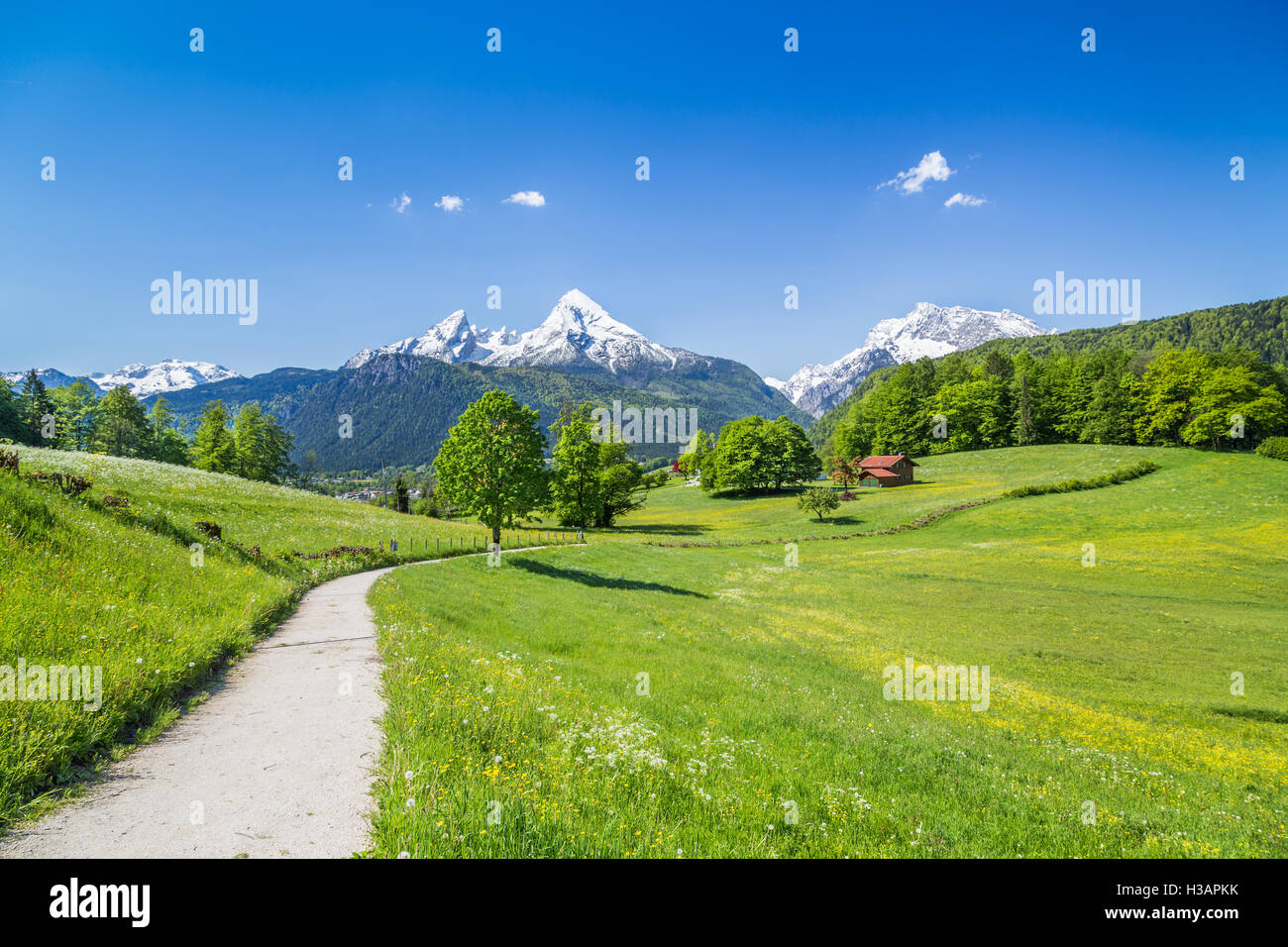 Idyllic landscape in the Alps with fresh green mountain pastures and snow-capped mountain tops in the background in summer Stock Photo