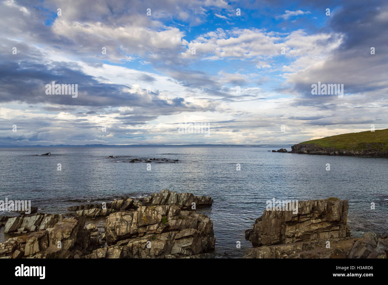 The rocky shoreline of Spaniard's Bay Point in Newfoundland and ...