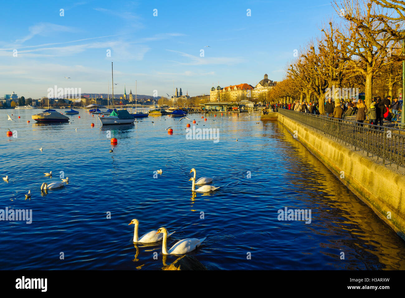 ZURICH, SWITZERLAND DECEMBER 27, 2015 Sunset scene at the bank of