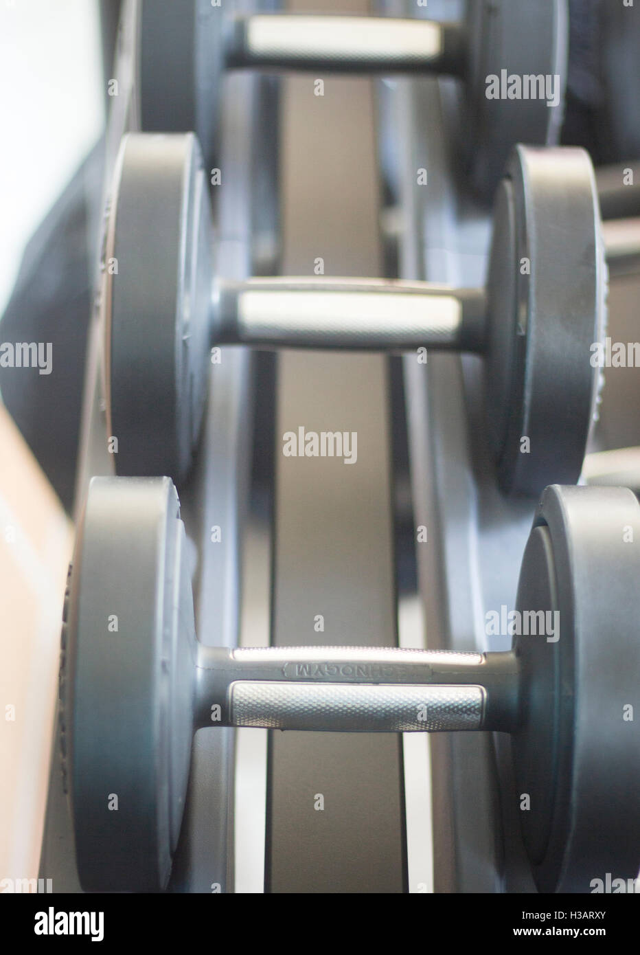 Gym exercise dumbell free weights in fitness studio gymnasium for